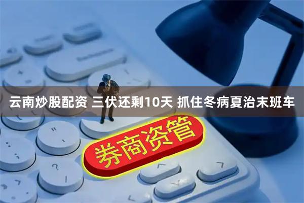 云南炒股配资 三伏还剩10天 抓住冬病夏治末班车